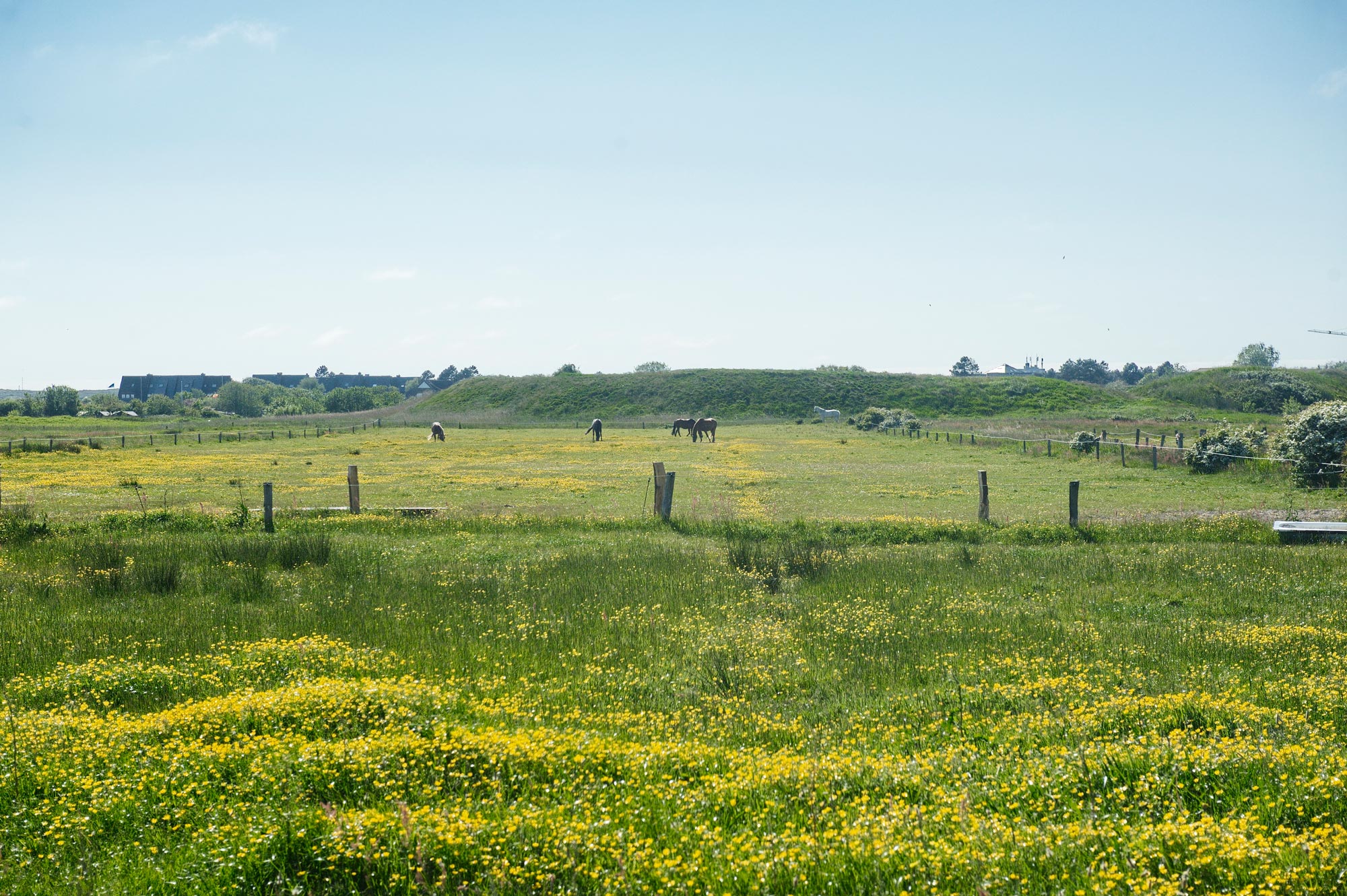 Eine Burg auf Sylt?